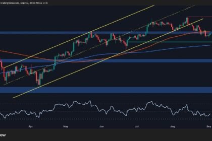 Can key support cause BTC loss?