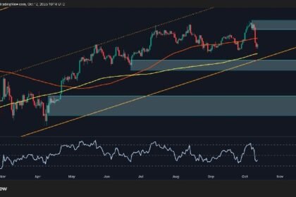 Is BTC's momentum trending bearish after the crash?