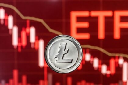 Litecoin Disappoints on Wall Street and Has a Lesson for Us