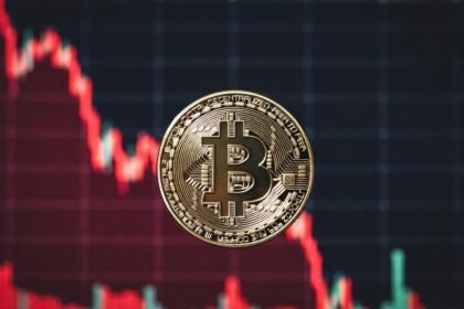 “Bitcoin market suffering is not over yet”: Joanne Wesson