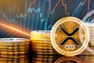 XRP investment