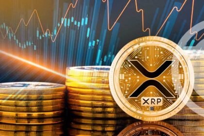 XRP investment