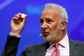 Peter Schiff doubts new mortgages with Bitcoin and USDC will pose “increased risk”