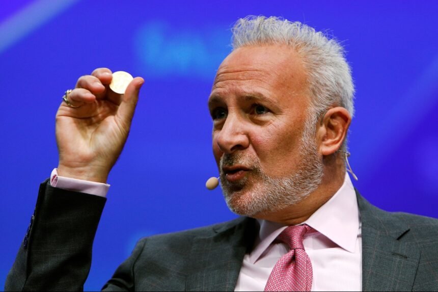 Peter Schiff doubts new mortgages with Bitcoin and USDC will pose “increased risk”