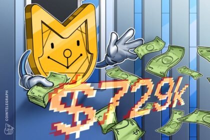 RKC meme coin linked to Roaring Kitty crashes as developer cashes out $729,000