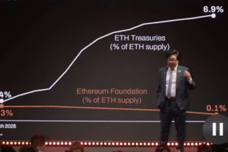 Tom Lee durante su última conferencia.