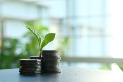 0xngmi Compares Crypto Vesting with SpaceX and Anthropic